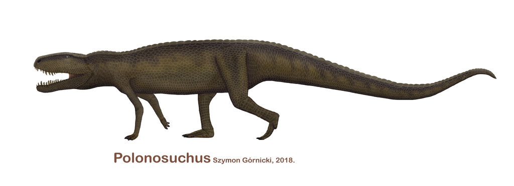 polonosuchus_2018_by_szymoonio_dcf0z9t-fullview