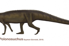 polonosuchus_2018_by_szymoonio_dcf0z9t-fullview